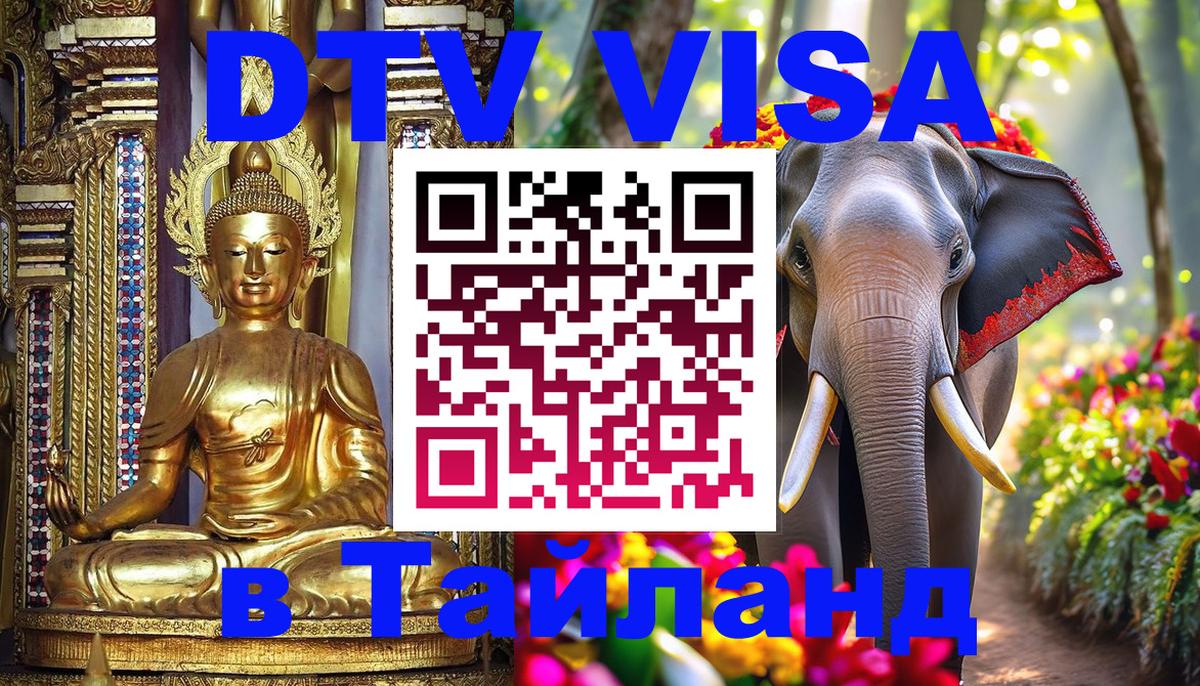 Сколько стоит DTV виза — актуальные цены, оформление даже без документов - 20.11.2025 